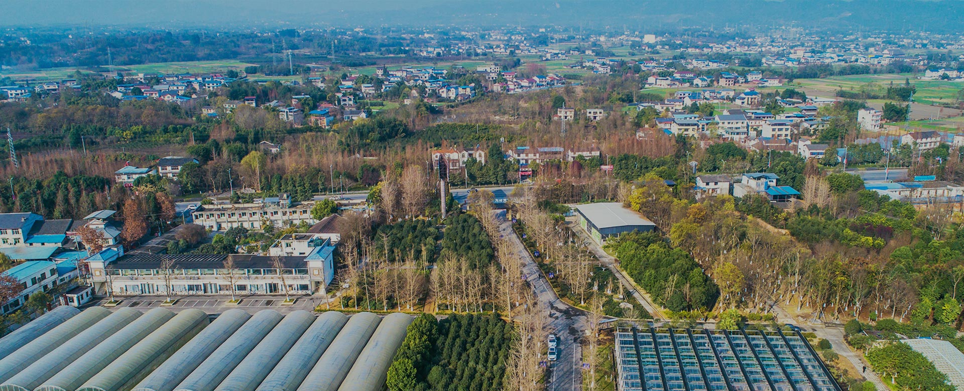 蔬菜品種育苗、示范推廣、基地種植、農(nóng)產(chǎn)品生產(chǎn)、加工 、銷(xiāo)售